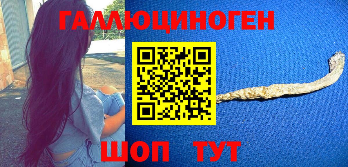 Торжок  Галлюциногенные грибы Psilocybine cubensis  Вход с VPN  Галлюциногенные грибы Psilocybe 